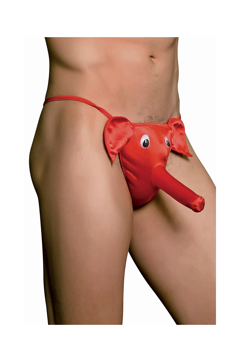 cache sexe éléphant cache sexe éléphant