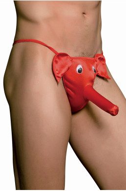 cache sexe éléphant