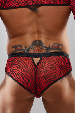 Slip type brésilien zébré rouge et noir - Regnes