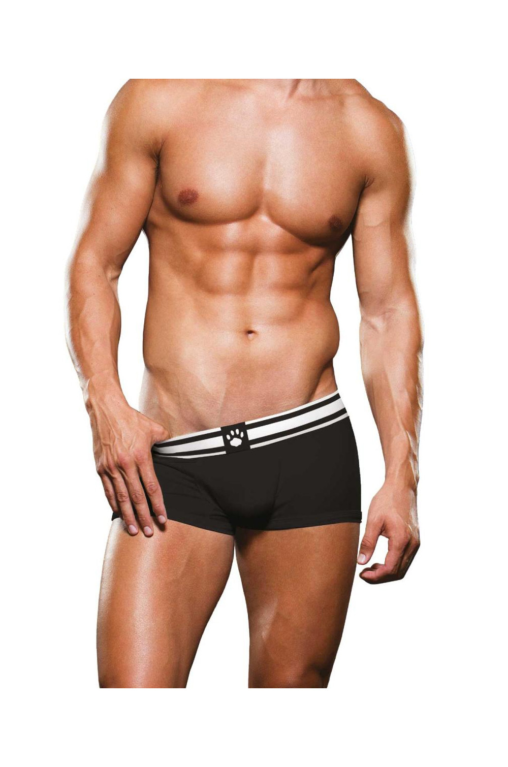 Boxer noir et blanc - Prowler