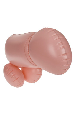 Jeu de combat coquin Cock Fighting 