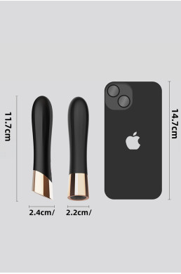 Mini vibro rechargeable en silicone Luxstick - DIK
